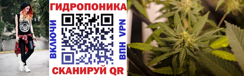Виды наркотиков купить Выкса Марихуана  Мефедрон  АМФ  Гашиш 