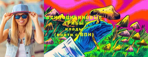 дживик Алексин